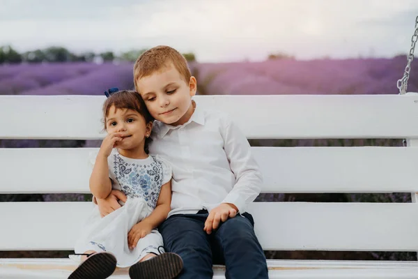 Dos Niños Felices Las Flores Lavanda Hermano Hermana Están Sentados —  Fotos de Stock