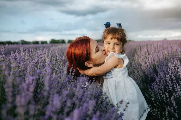 Молодая Счастливая Семейная Концепция Мама Целует Свою Дочь Посреди Лавандового — стоковое фото