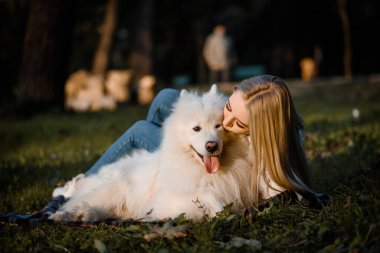 Young beautiful woman in white shirt is hugging and kissing her white dog samoyed outdoors in the park and sitting on the grass.