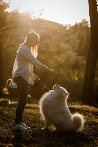 Young Happy Beautiful Woman White Shirt Playing Her White Dog — ストック写真