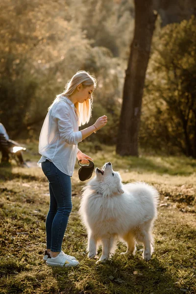 Young Happy Beautiful Woman White Shirt Playing Her White Dog — 스톡 사진