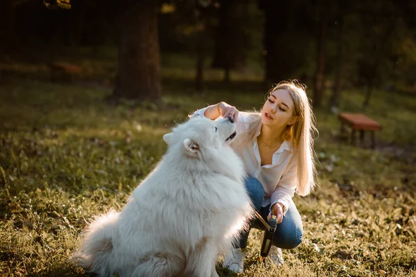 Молодая Счастливая Красивая Женщина Белой Рубашке Играет Своей Белой Собакой — стоковое фото