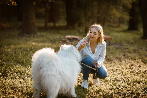 Young Happy Beautiful Woman White Shirt Playing Her White Dog — Foto de Stock