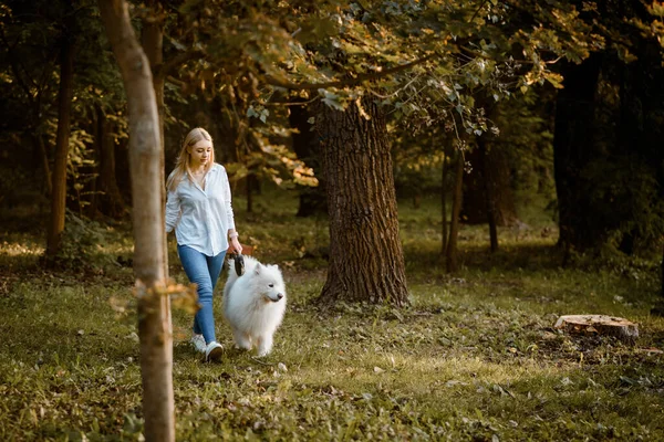 Молодая Красивая Женщина Белой Рубашке Выходит Улицу Парке Белой Собакой — стоковое фото