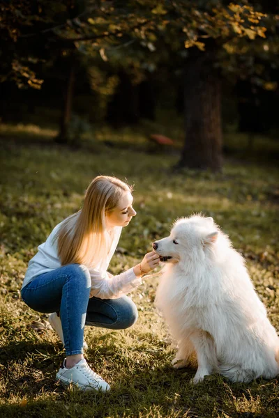 Mladá Šťastná Krásná Žena Bílé Košili Hraje Svým Bílým Psem — Stock fotografie