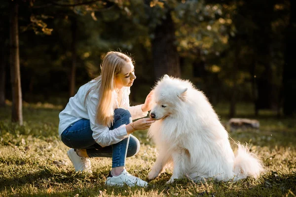 Молодая Счастливая Красивая Женщина Белой Рубашке Играет Своей Белой Собакой — стоковое фото