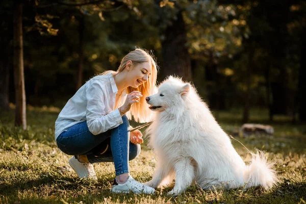 Young Happy Beautiful Woman White Shirt Playing Her White Dog — Stockfoto