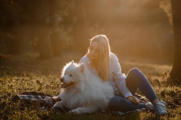 Jonge Mooie Vrouw Wit Shirt Knuffelt Haar Witte Hond Samoyed — Stockfoto