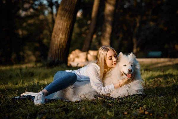 白いシャツの若い美しい女性あります抱擁彼女の白い犬Samoyed屋外で公園と座っている草の上に — ストック写真