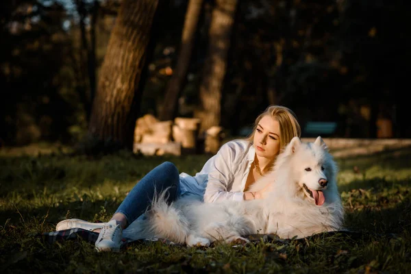 白いシャツの若い美しい女性あります抱擁彼女の白い犬Samoyed屋外で公園と座っている草の上に — ストック写真