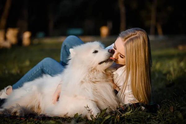 若いです美しいです女性で白いシャツあります抱擁と接吻彼女の白い犬Samoyed屋外で公園と座っている草 — ストック写真