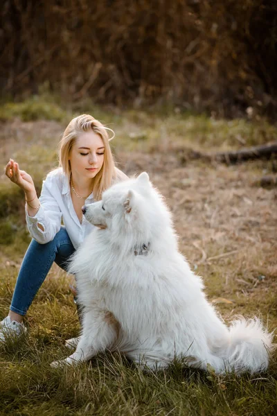 Young Happy Beautiful Woman White Shirt Playing Her White Dog — Fotografia de Stock