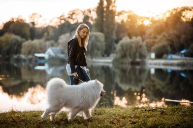 Young beautiful woman is playing on the shore of the lake with her white dog samoyed on sunset on an autumn day.