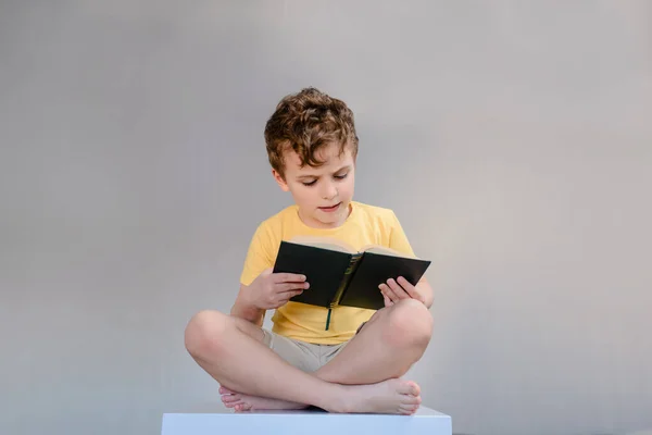 Bildung Ist Ein Lustiges Und Einfaches Konzept Glückliches Kleines Kind — Stockfoto