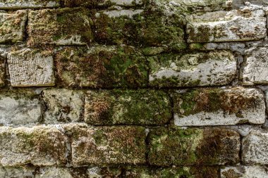 Beyaz taş tuğlalardan zaman tarafından tahrip edilen ve yosun ve küfle kaplanmış eski duvarın dokusu