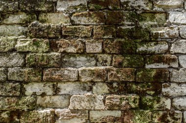 Beyaz taş tuğlalardan zaman tarafından tahrip edilen ve yosun ve küfle kaplanmış eski duvarın dokusu
