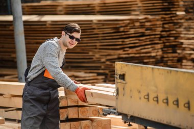 Ahşap kereste deposundaki genç marangoz ahşap tahta / tahta karavan kamyonu yüklüyor. 