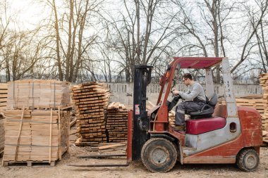 Ahşap kereste deposundaki genç marangoz ağzına kadar tahta / tahta dolu..