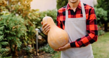 Bahçesinde balkabağı tutan bir önlük ve tişörtlü bahçıvanı yakından çek. Büyük hasat konsepti