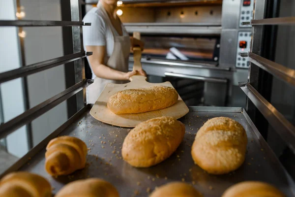 Close up of young caucasian woman baker putting the fresh bread on the shelves/rack at baking manufacture factory. Tasty bread bakery factory concept.