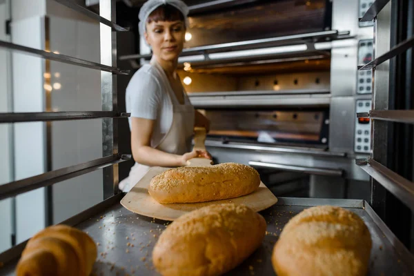 Close up of young caucasian woman baker putting the fresh bread on the shelves/rack at baking manufacture factory. Tasty bread bakery factory concept.