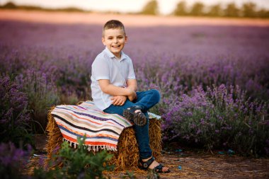 Genç çocuk lavanta tarlasında samanlıkta oturuyor ve gülümsüyor..