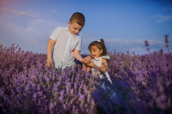 Two Children Brother Sister Playing Lavender Field Brother Show Ladybug — Stock Photo, Image