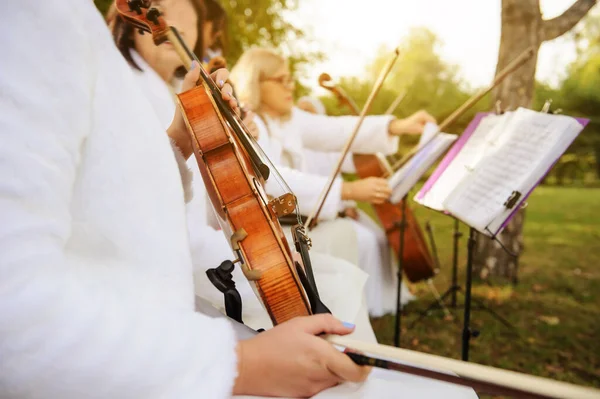 Közeli Hegedűs Kint Tartja Hegedűt Parkban Süt Nap — Stock Fotó