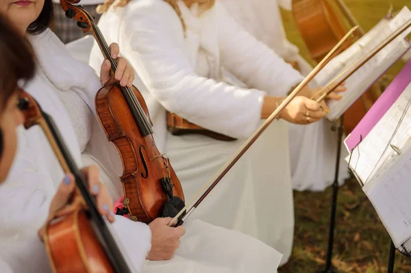 Primo Piano Violinista Che Tiene Violino All Aperto Nel Parco — Foto Stock