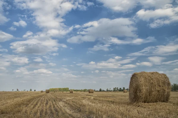 Сільської місцевості — стокове фото