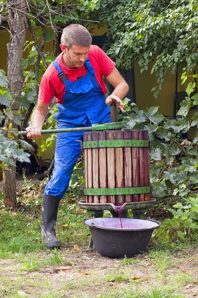 Мужчина фермер с помощью винного пресса — стоковое фото