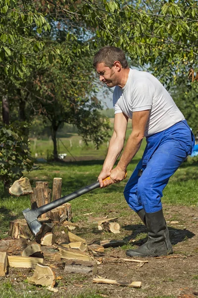 Man splitting logs — Stock Photo, Image