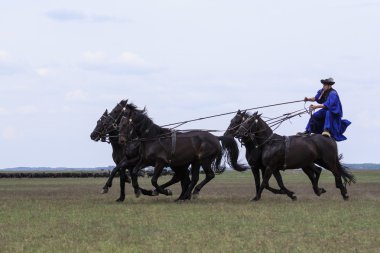 Macar kovboylar