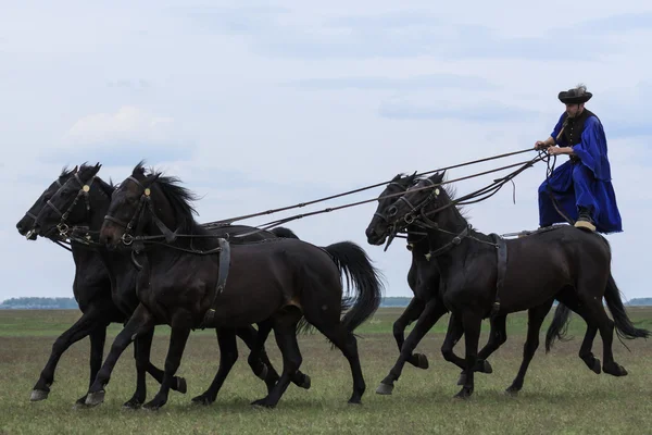 Hungarian Cowboys — Stock Photo, Image