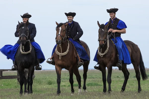 Ungerska cowboys Stockfoto