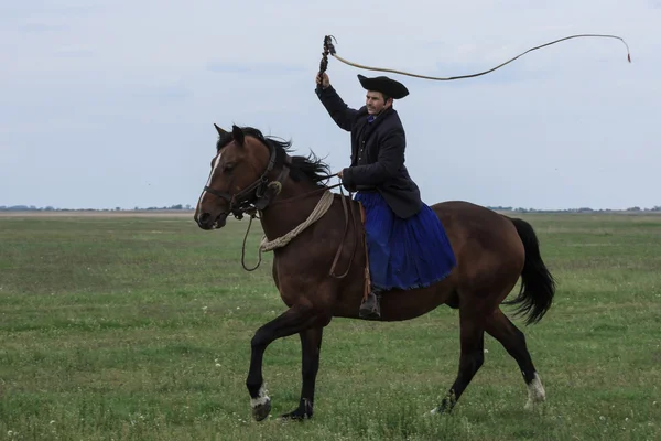 Cowboys húngaros Imagens Royalty-Free