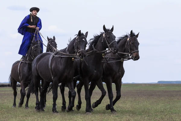 Hungarian Cowboys Stock Photo