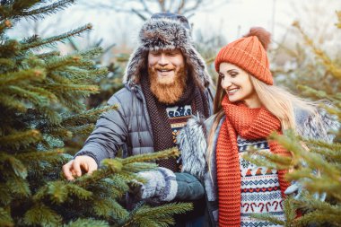 Kadın ve erkek evi için bir Noel ağacı seçiyorlar