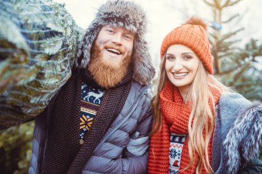 Noel ağacını eve taşıyan çift