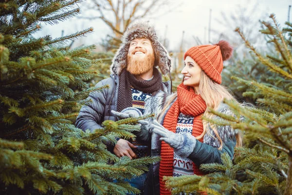 Mujer y hombre eligiendo un árbol de Navidad para su hogar — Foto de Stock