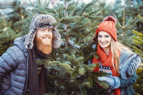 Pareja divirtiéndose buscando un árbol de Navidad — Foto de Stock