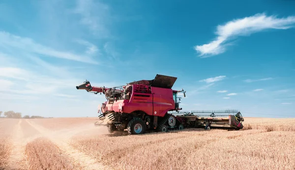 Combineer oogstmachine op graanveld tijdens oogsttijd — Stockfoto