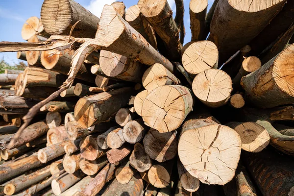 Firewood Stacked Pile Outdoors — Stock Photo, Image