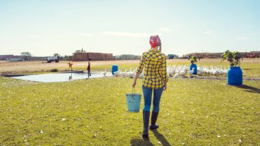 Çiftçi ve çiftlik hayvanları, otlakta beslenen kazlar
