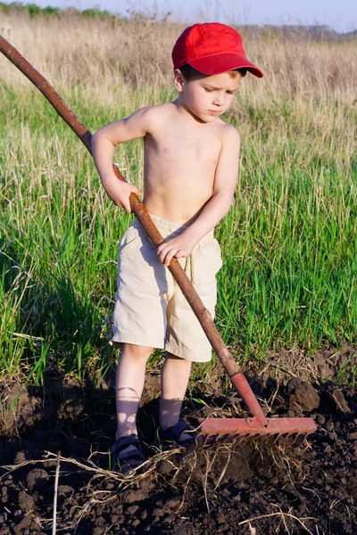 Little boy works with rake — Stock Photo, Image