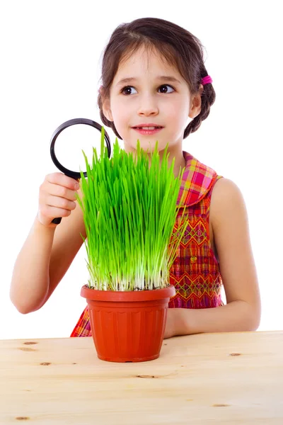 Ragazza con lente d'ingrandimento ed erba — Foto Stock