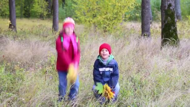 Due bambini che giocano con le foglie nella foresta — Video Stock