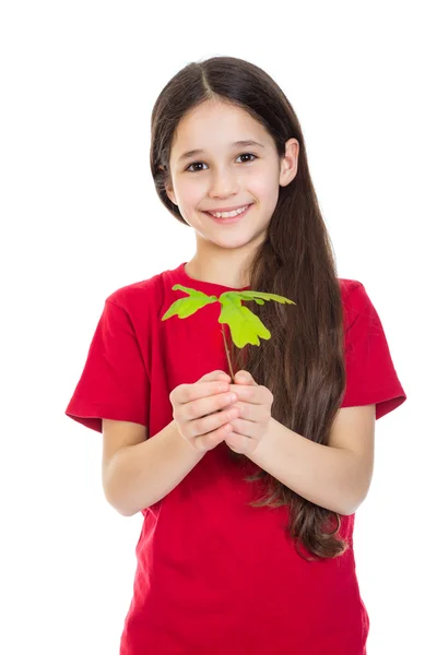 手でオークの苗木を持つ少女 — ストック写真