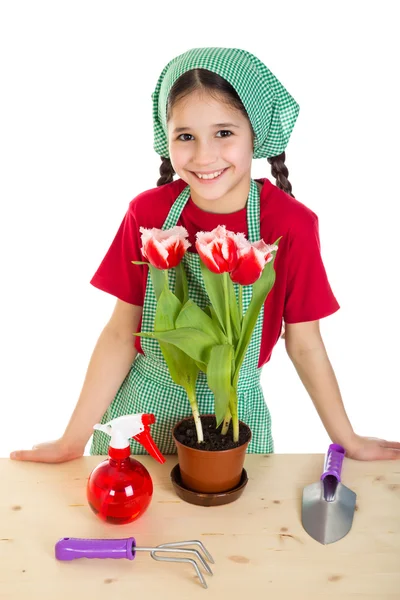 Niña cuidado flores en el escritorio — Foto de Stock