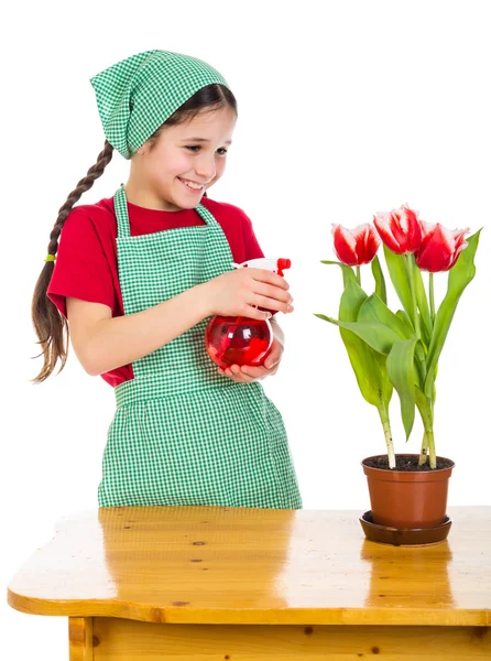 Девушка поливает цветы на столе — стоковое фото